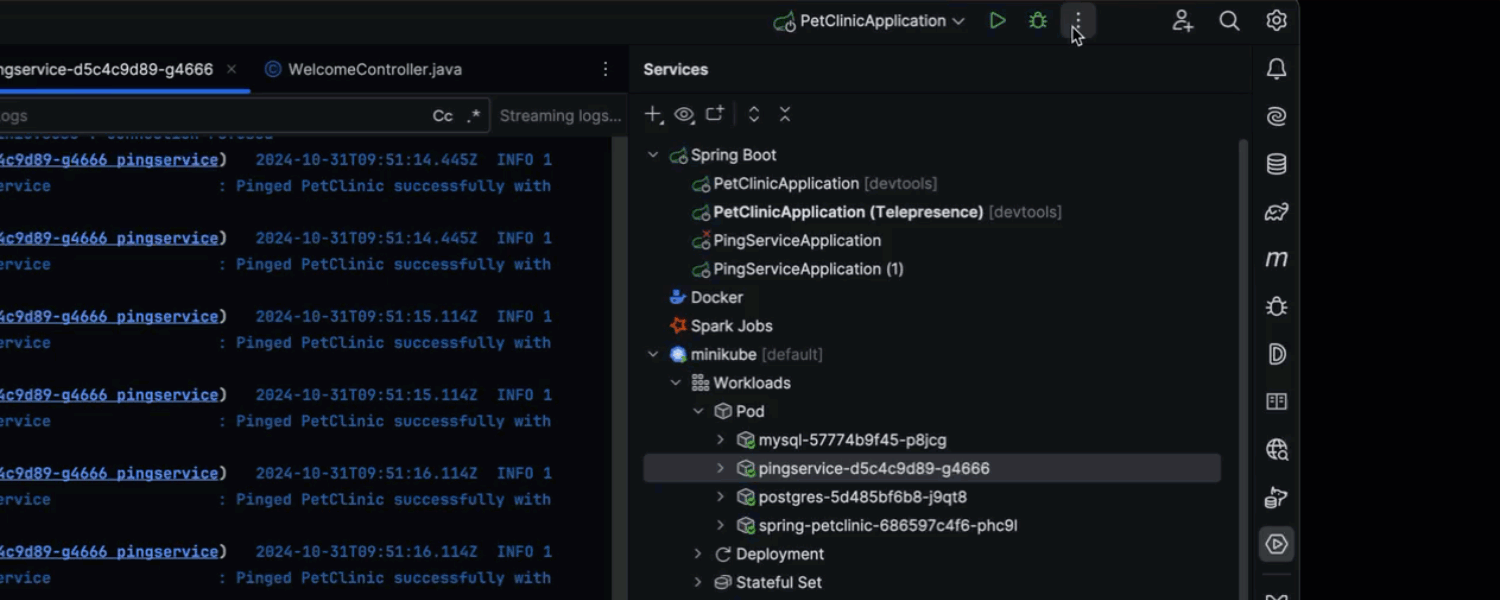 IntelliJ IDEA v2024.3产品图