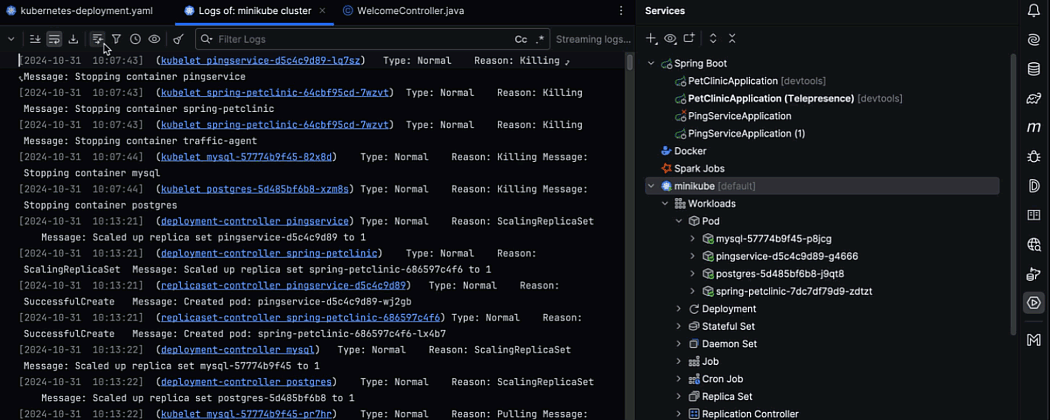 IntelliJ IDEA v2024.3产品图