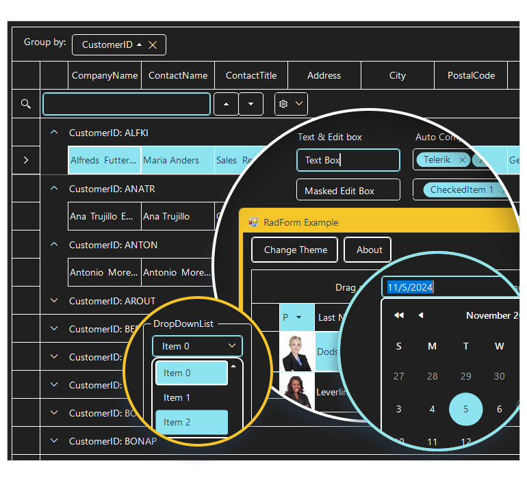 Telerik UI for WinForms 2024 Q4产品图集