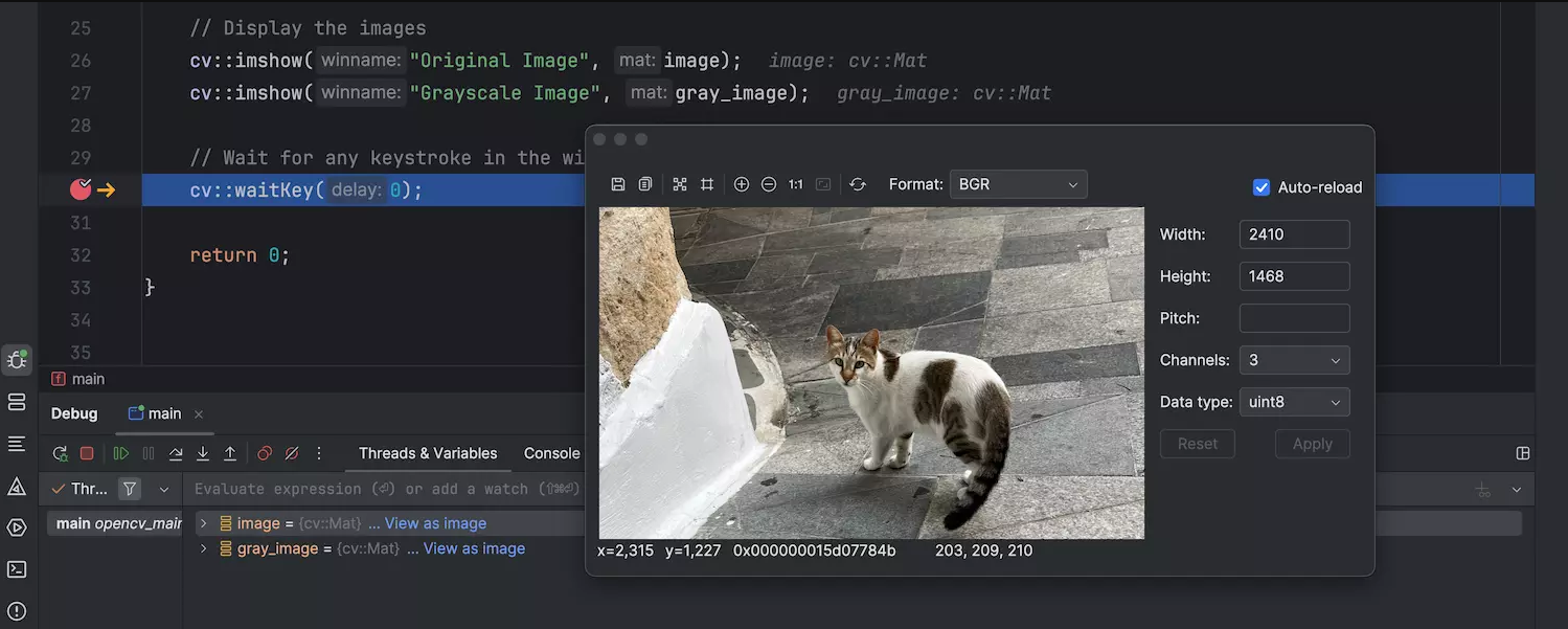 CLion v2024.3产品图