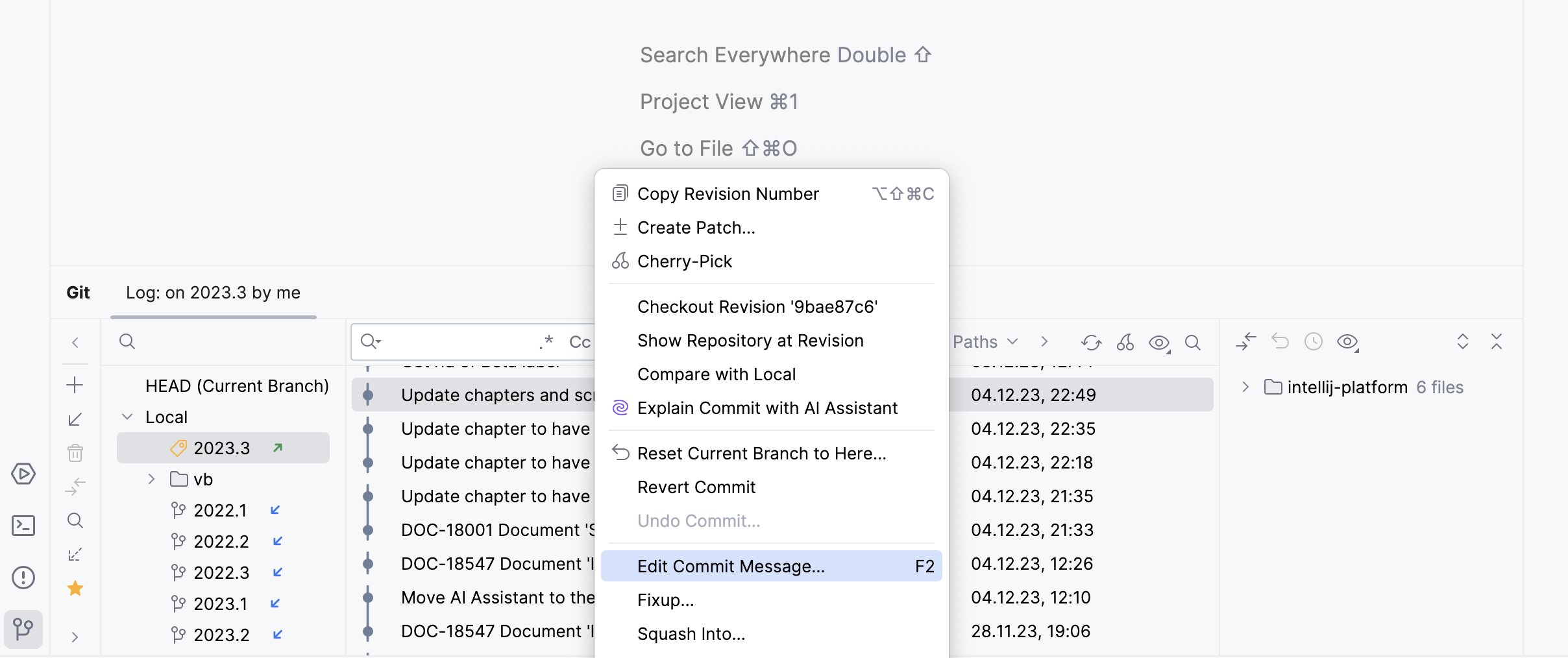 IntelliJ IDEA：AI 助手生成提交消息