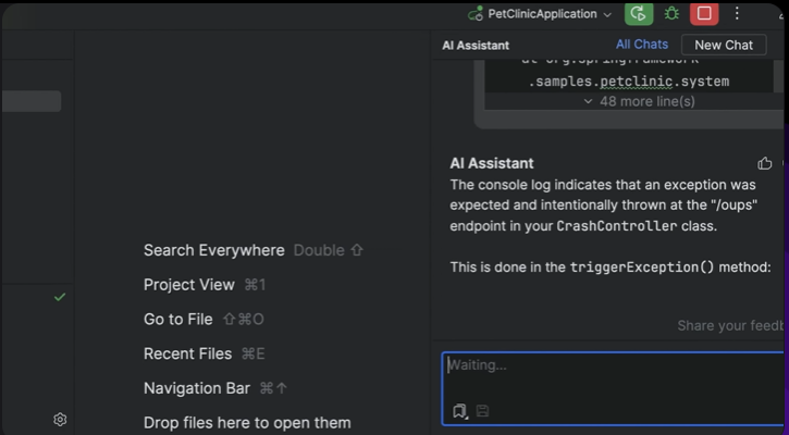 JetBrains AI产品图集