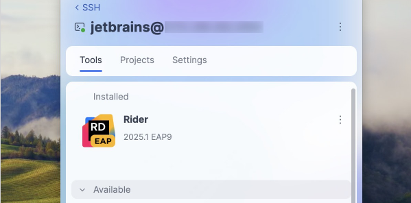 Rider v2025.1新版本图集