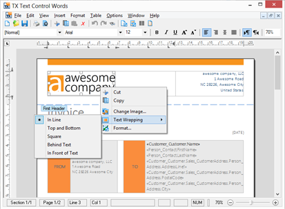 TX Text Control ActiveX