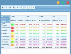 RadarCube ASP.NET Web Forms授權(quán)購買