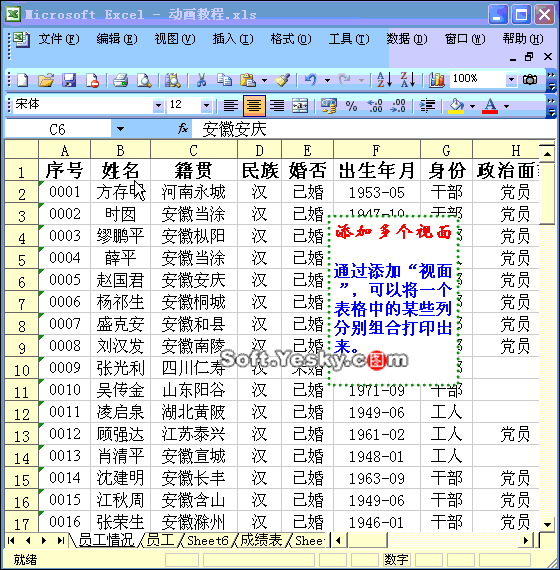 图片11