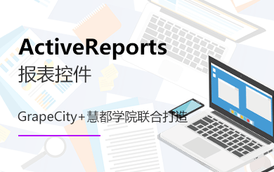 ActiveReports企业定制培训