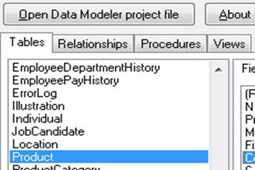 TMS Data Modeler v3.3.3試用版