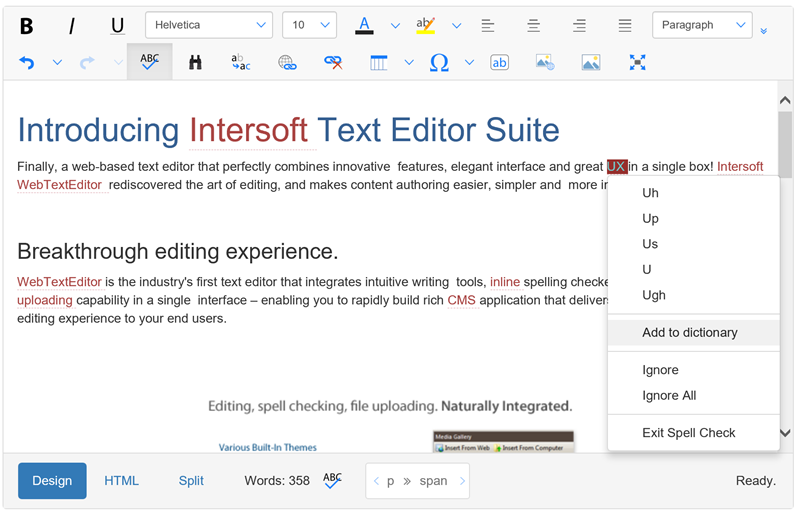 webtexteditor overview.png