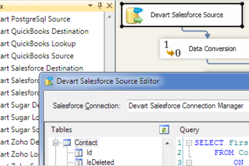 SSIS Data Flow Components预览：SSIS 数据流组件