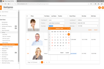 DevExpress ASP.NET Controls预览：aspnet-mvc-extensions