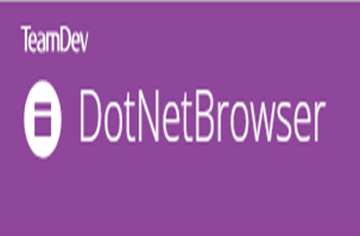 .NET集成組件DotNetBrowser基礎(chǔ)知識示例（10）—打印成PDF文檔