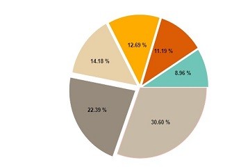 TeeChart for JavaScript/HTML5主題示例——系列：pie