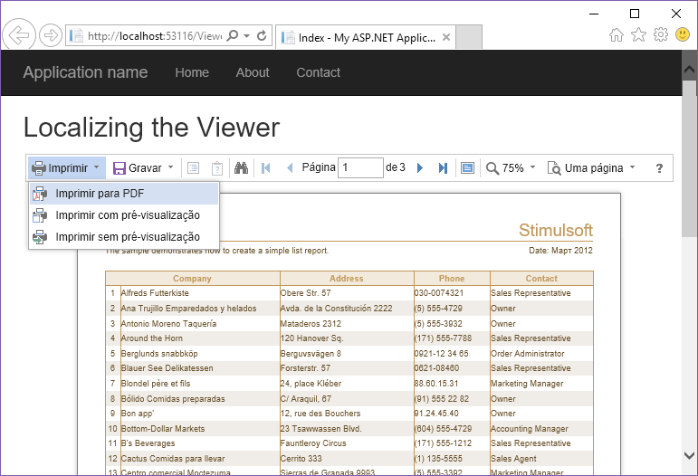 Stimulsoft ASP.NET MVC 表教程：定位查看器