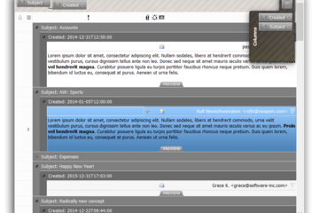 QtitanDataGrid预览：QtitanDataGrid and Preview Rows feature