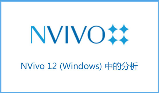 NVivo 12 (Windows) 中的分析