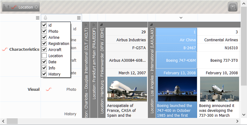 QtitanDataGrid在線示例：TableViewHorizontalLayout