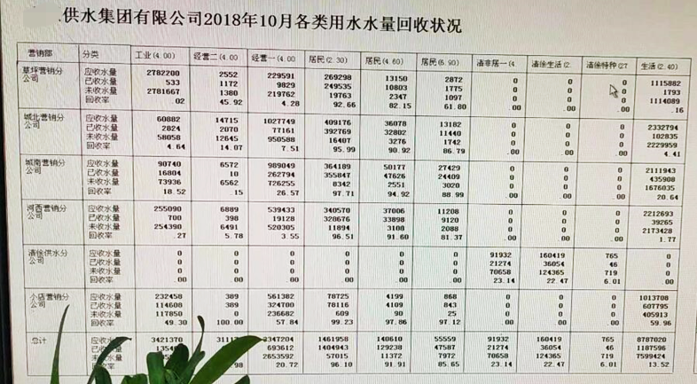 ActiveReports 表应用案例：解决汾西电子-物联 智能供水云平台的困境