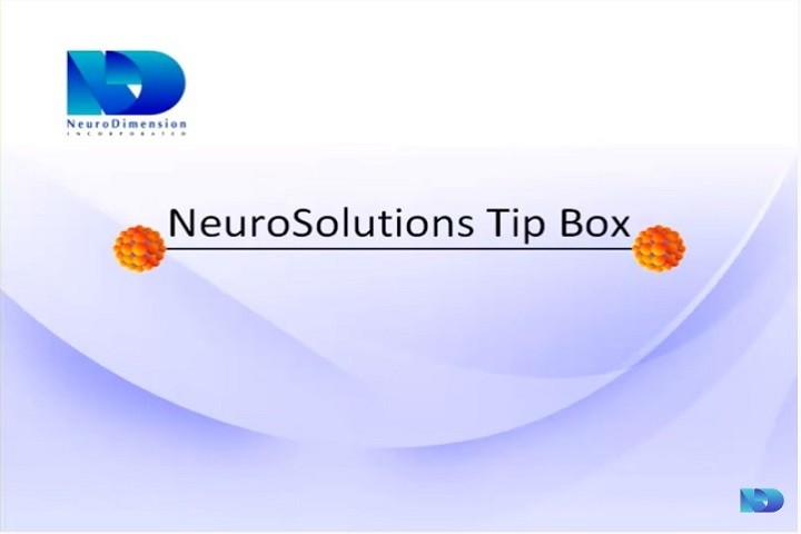 NeuroSolutions視頻教程：輸入投影算法