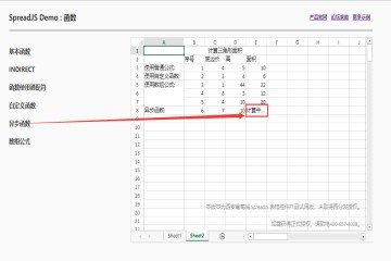 SpreadJS示例：如何设置自定义函数和异步函数