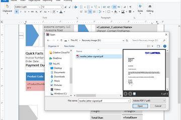 TX Text Control .NET for Windows Forms预览：导入PDF