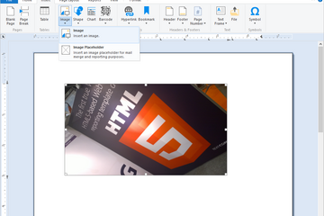 TX Text Control .NET for Windows Forms预览：图像格式