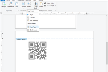 TX Text Control .NET for Windows Forms预览：页面支持