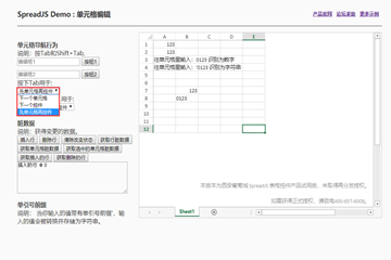 SpreadJS示例：导航、脏数据、单引号前缀