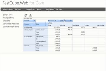 FastCube.Net 2020.1 開發(fā)者指南