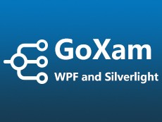 GoXam v3.0.2 for WPF