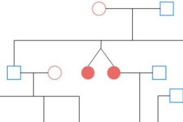 Visual Paradigm预览：谱系图