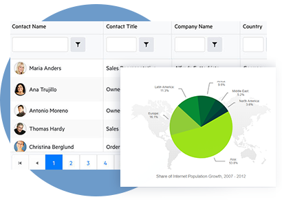 Kendo UI Pie Charts示例六：支持AngularJS指令