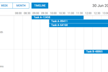 DHTMLX Scheduler预览：日历事件