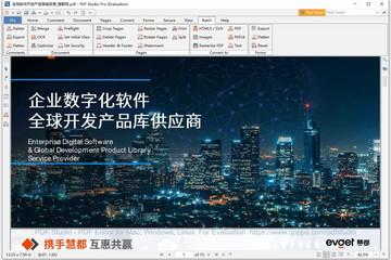 PDF Studio预览：PDF Studio批量处理