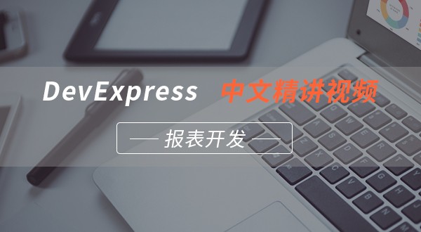 DevExpress报表开发中文教学视频