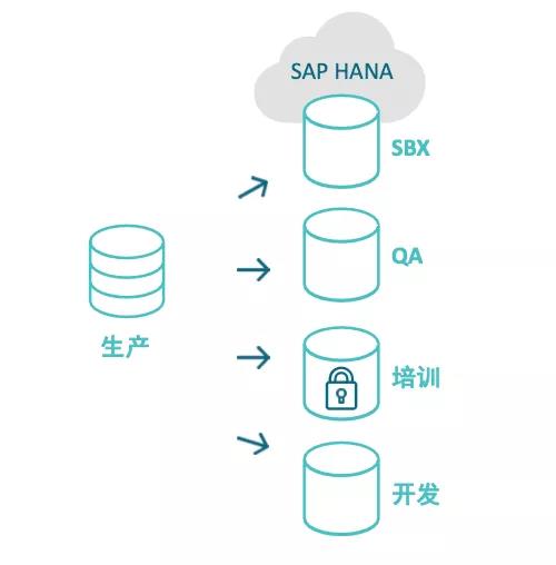 想要轻松实现数据管理？这有份SAP数据管理专属解决方案送你！