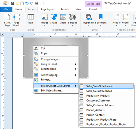 TX Text Control系列教程—Windows Forms：图像和条形码占位符的合并