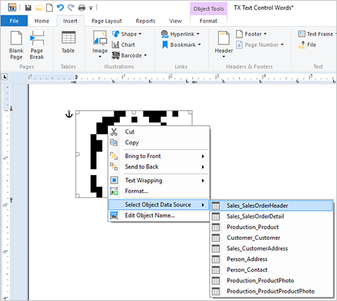 TX Text Control系列教程—Windows Forms：图像和条形码占位符的合并