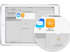 DevExpress DataExplorer for iOS 7