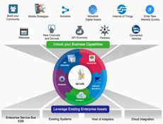 Fiorano API Management授權(quán)購買