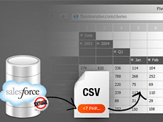 Pivot Table & Charts典型案例—与在线CRM系统数据集成