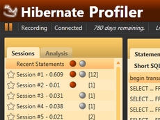 Hibernate Profiler