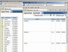 Cognos Integration Server授權(quán)購(gòu)買(mǎi)