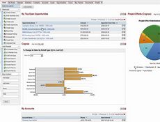 Cognos Mashup Service