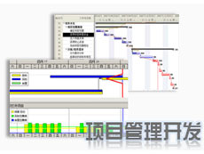 項目管理相關(guān)系統(tǒng)/功能開發(fā)