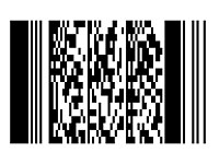 pdf417barcode