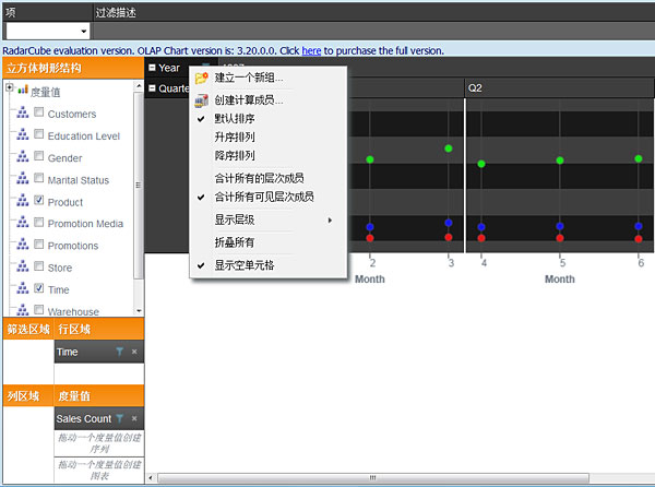 RadarCube ASP.NET英文界面的漢化效果