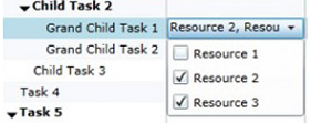 Gantt_Resource_Assignment