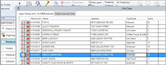 Tabular Data Editing - Map Suite GIS Editor