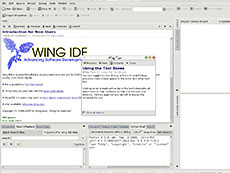 Wing IDE